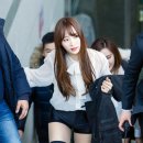 배재대학교 이미지