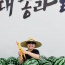 서희 태권도장 이미지