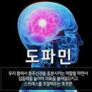 대한갈비만세 네이버블로그