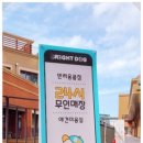 브라이트 독 이미지