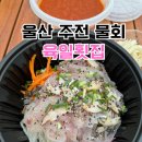 울산횟집 | 울산 주전 육일횟집 동구 물회 동남횟집 포장 후기