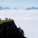 사랑과 기쁨 이미지