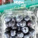 📢🫐아이브릭스-칠레 생 블루베리 1.5kg🫐📢 이미지