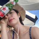 보나 이미지