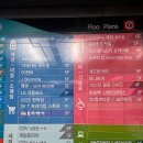 토리헤어노형 이미지