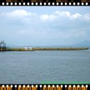 정남진 해양낚시공원 이미지