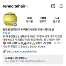 르네시떼 이미지