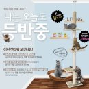 캣토리아 이미지