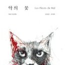 알비소파 이미지