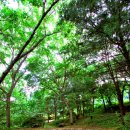 서운동산펜션 이미지