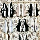 운동화빠는날 이미지