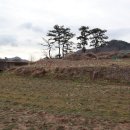 상구농장 이미지