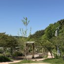황토와소나무 - 625 | 김제 금산사 유아숲 방문 후기 아이와 가기 좋은 황토길