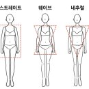 나에게 어울리는 스타일은?(체형진단) 이미지