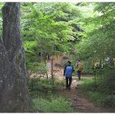 무룡고개~지지터널 이미지