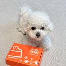 강아지사료 맘앤대디 코박사료 웰컴키트 3종 후기