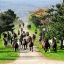 기운축산 이미지
