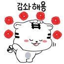 심한박 | 창원 남양동 상가3층 식당가 하수구 메인배관 고압세척 후기, 박프로 착한하수구 고압세척 전문업체