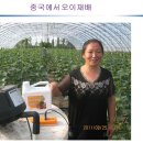 중국에서의 GCM농법 이미지