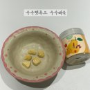 [강아지간식]내돈내산 겨울철 기관지 관리엔 수수펫푸드 수수배숙 급여후기 및 방법
