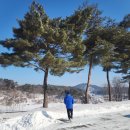 초등영어 | 2026년 1월 5학년을 마치고 민사고 영어캠프 참여 후기