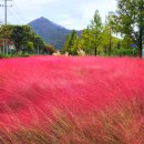 논공(대구) 이미지