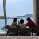 코이독(눈 내리는 강아지마을) | 전남 크리스마스 숙소 여수 라테라스 리조트 윈터빌리지 후기