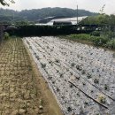 세곡농장 이미지