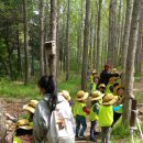 보둠이나눔이어린이집 이미지