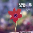 생명나무 이미지