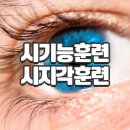 아이라인안경원 이미지