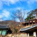 조안보건지소 앞