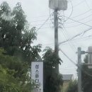 시은토탈헤어 | 하남 섬 스튜디오 웨딩촬영 후기