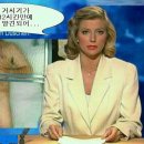 거시기네 이미지