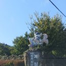 제주각시 이미지