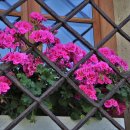 한누리 행정사사무소 이미지