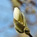 허한의원 이미지