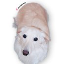 청라종합동물병원 이미지