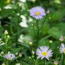 이승재한의원 이미지