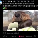 어왔니 | 3-1.