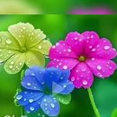 (주)삼세 이미지