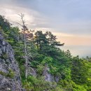제705차(5/29~5/31) 지리산 성중종주(성삼재~중산리) 1박3일 이미지