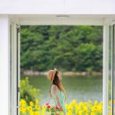 해바라기카페 - 포천시 구절초로 18 | 해바라기카페