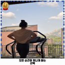 오금동 필라테스 인서스 부티크짐 운영시간 및 방문 정보와 가격 주차 알아봐요