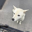 구찌네집 이미지