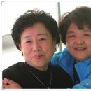 효제초등학교 이미지