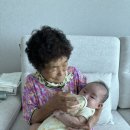 8월 둘째주, 셋째주 열매 : 👶🏻