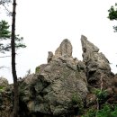 진산목장 이미지