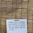 수타명장 | 포항간짜장맛집 - 노포수타중국집 내돈내산 메뉴 솔직후기(추천/비추천있음)