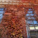 벌교금융조합 이미지